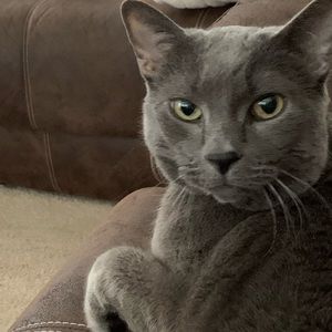 Meet your Posher, Elijah